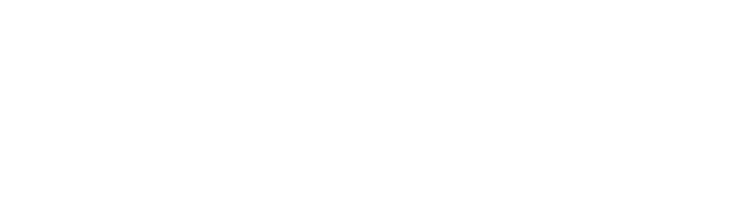 ThePioneer Experience